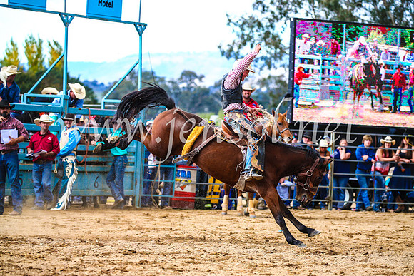 TumutRodeo2017_1555