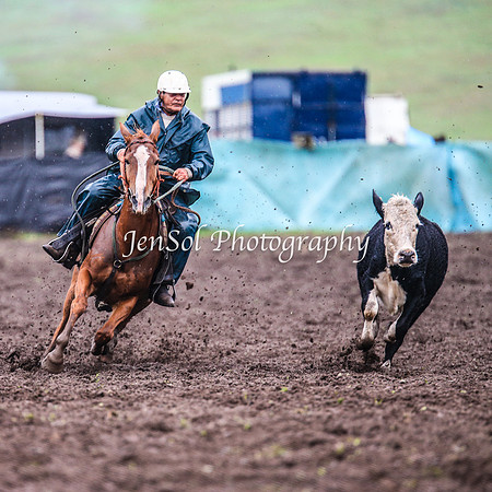 CabanandraCampdraft2014_3522