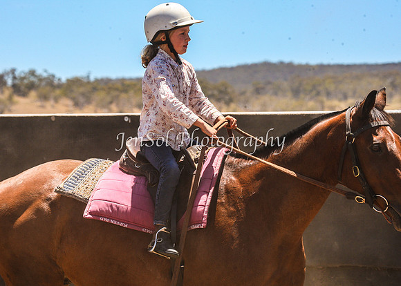 AdaminabyCampdraft2015_0384