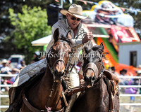 Bungendore2011_0274