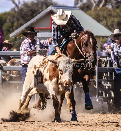 IMG_0152Jindy