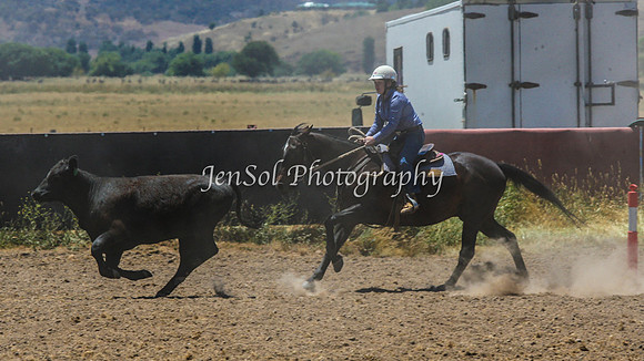 AdaminabyCampdraft2015_0377