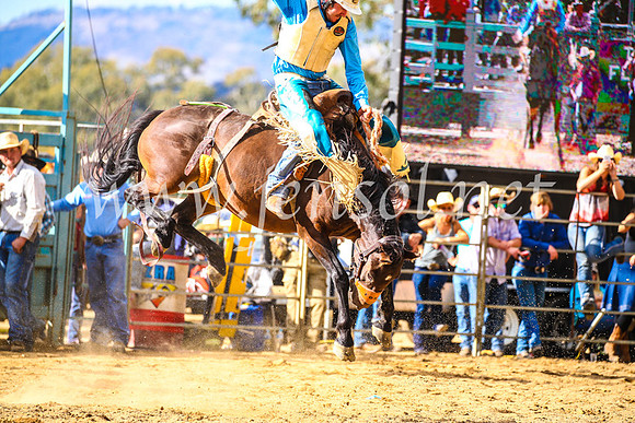 TumutRodeo2017_1858