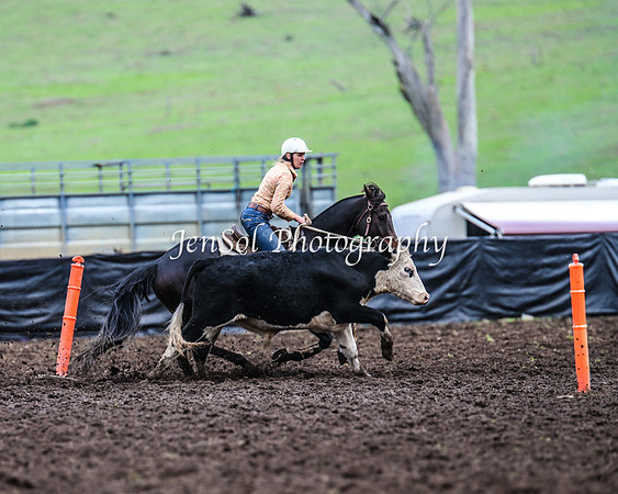 CabanandraCampdraft2014_2676