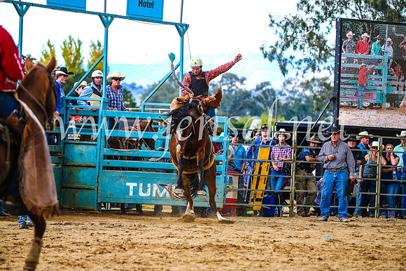 TumutRodeo2017_1492