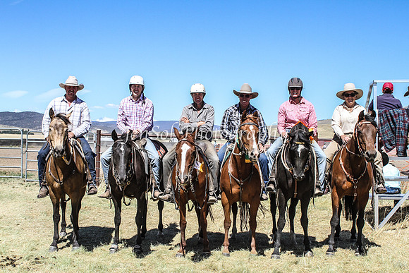 AdaminabyCampdraft2015_0821