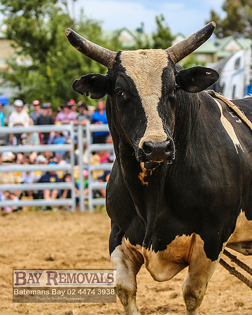 JindabyneRodeo2022_2898