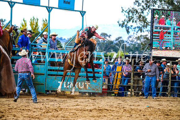 TumutRodeo2017_1496
