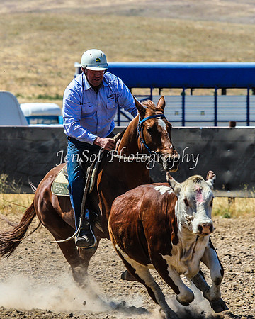 AdaminabyCampdraft2015_0226