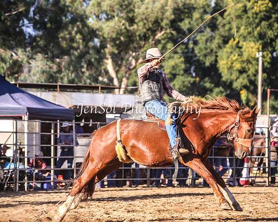 TumutRodeo2014_3241