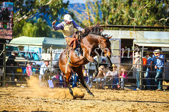 TumutRodeo2017_2454