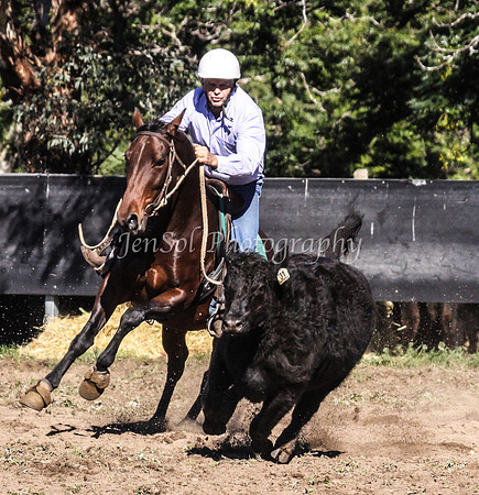 IMG_0373Jugiong1