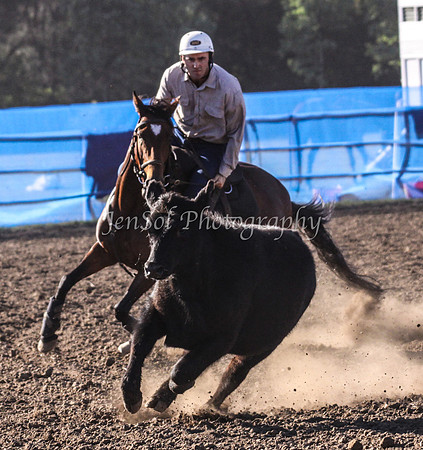 IMG_0191CCCSun