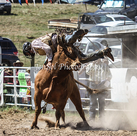 Bungendore2011_1112