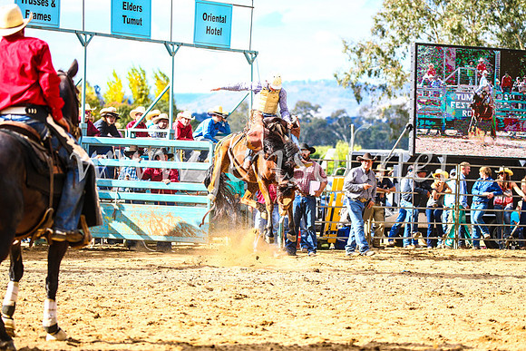 TumutRodeo2017_1715