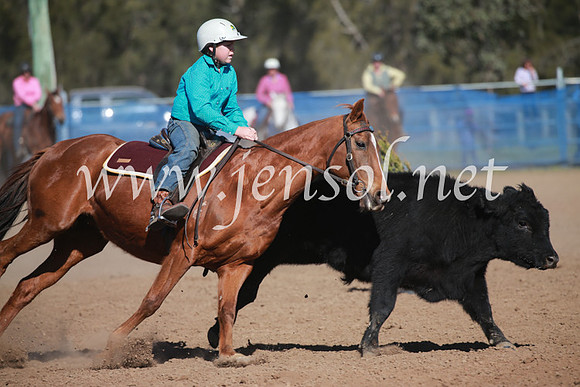 CCCampdraft2016_6169