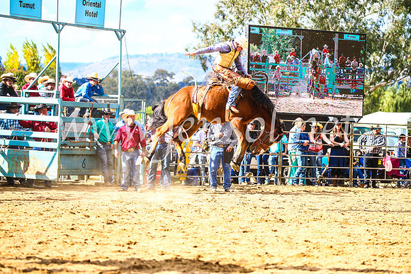 TumutRodeo2017_1719