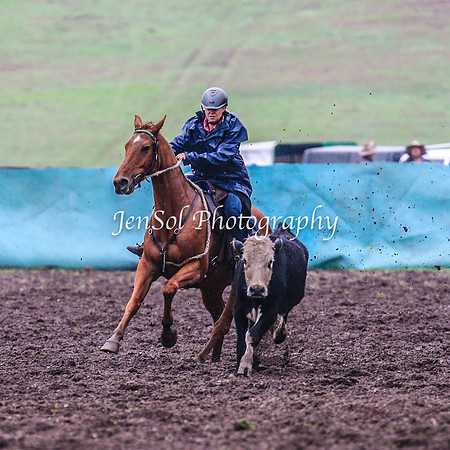 CabanandraCampdraft2014_3562
