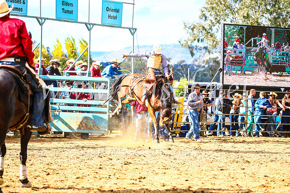 TumutRodeo2017_1712