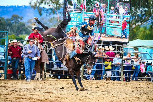 TumutRodeo2017_2255