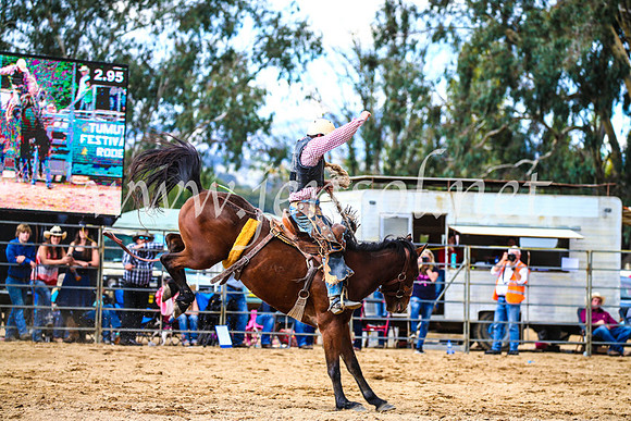 TumutRodeo2017_1561