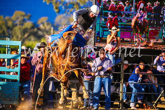 TumutRodeo2017_2641