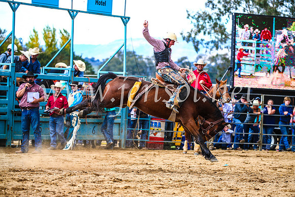 TumutRodeo2017_1553