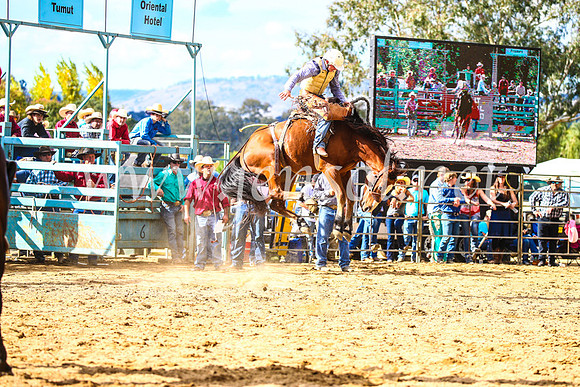 TumutRodeo2017_1718