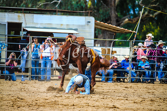 TumutRodeo2017_1538