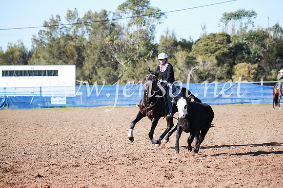 CCCampdraft2016_5155