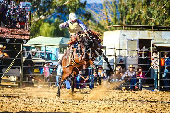 TumutRodeo2017_2437