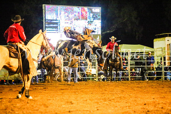 TumutRodeo2017_4641