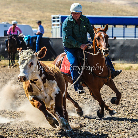 AdaminabyCampdraft2015_0166