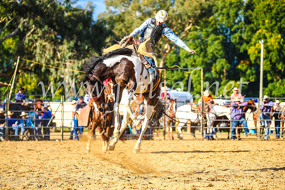 TumutRodeo2017_2567