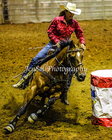 RealDealRodeoFeb2014_1290