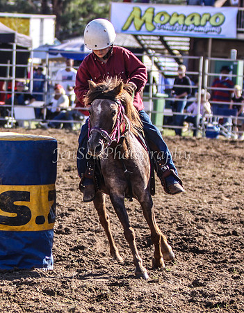 IMG_0195Qbn2