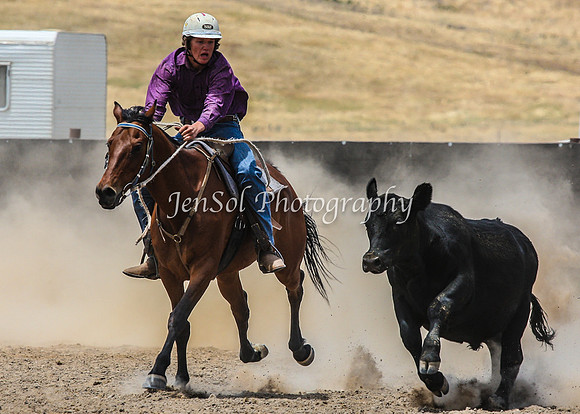 AdaminabyCampdraftSun2015_3136