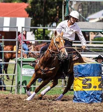 IMG_0232Qbn1
