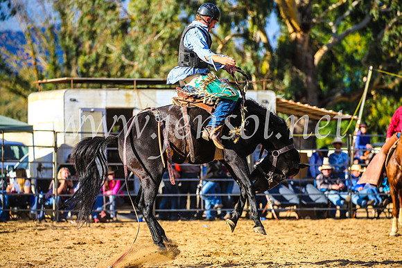 TumutRodeo2017_2499