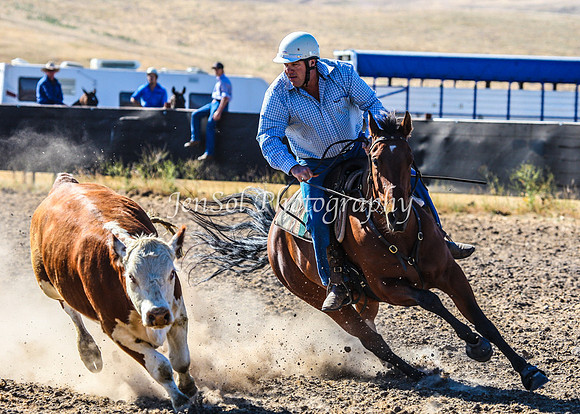 AdaminabyCampdraft2015_0045