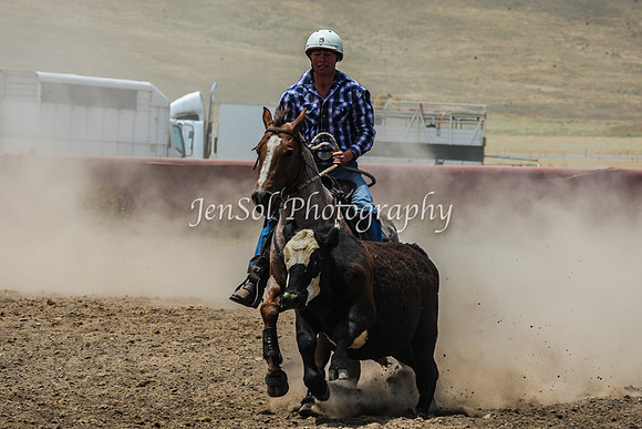AdaminabyCampdraftSun2015_3146