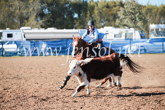 CCCampdraft2016_5148