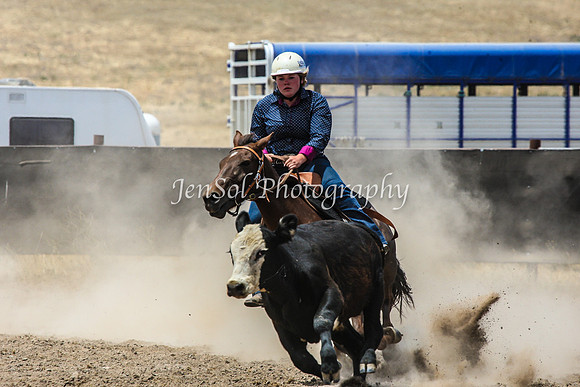 AdaminabyCampdraftSun2015_3125