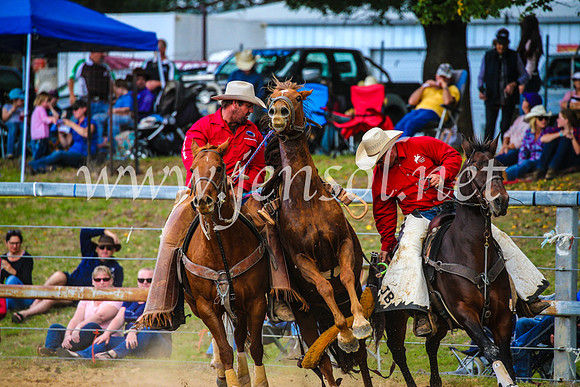 TumutRodeo2017_1411