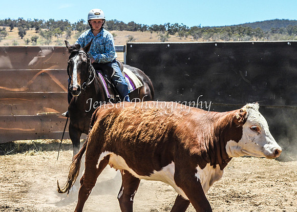 AdaminabyCampdraft2015_0724