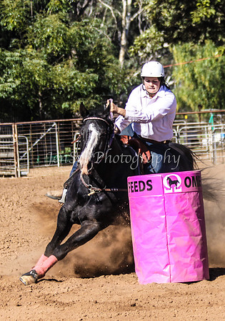 Dubbo2 399