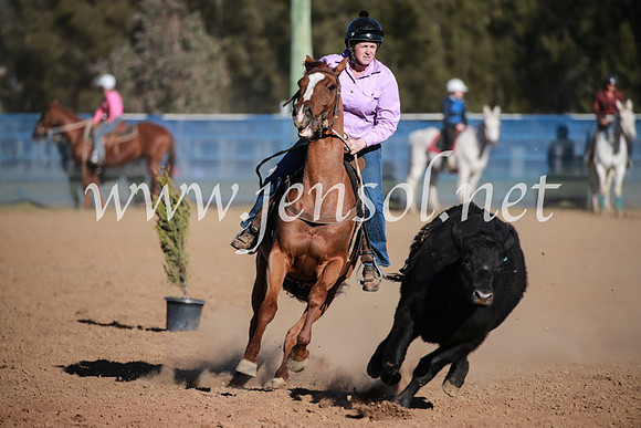 CCCampdraft2016_6274