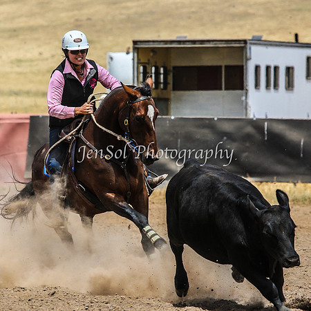 AdaminabyCampdraftSun2015_3381