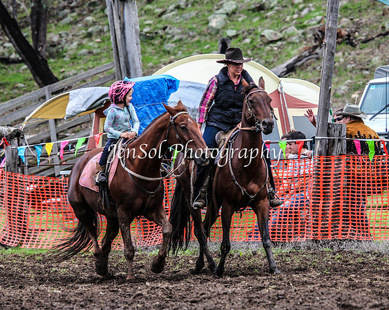 CabanandraCampdraft2014_2301