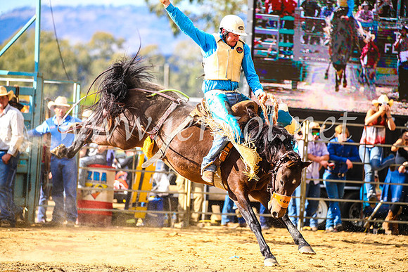 TumutRodeo2017_1848